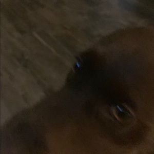 Meet your Posher, Tyce